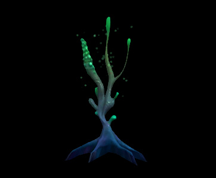 Wildstar Housing - Poison Spore Tree