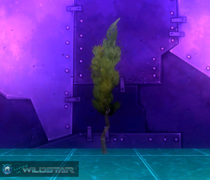 Wildstar Housing - Ginkgo Tree